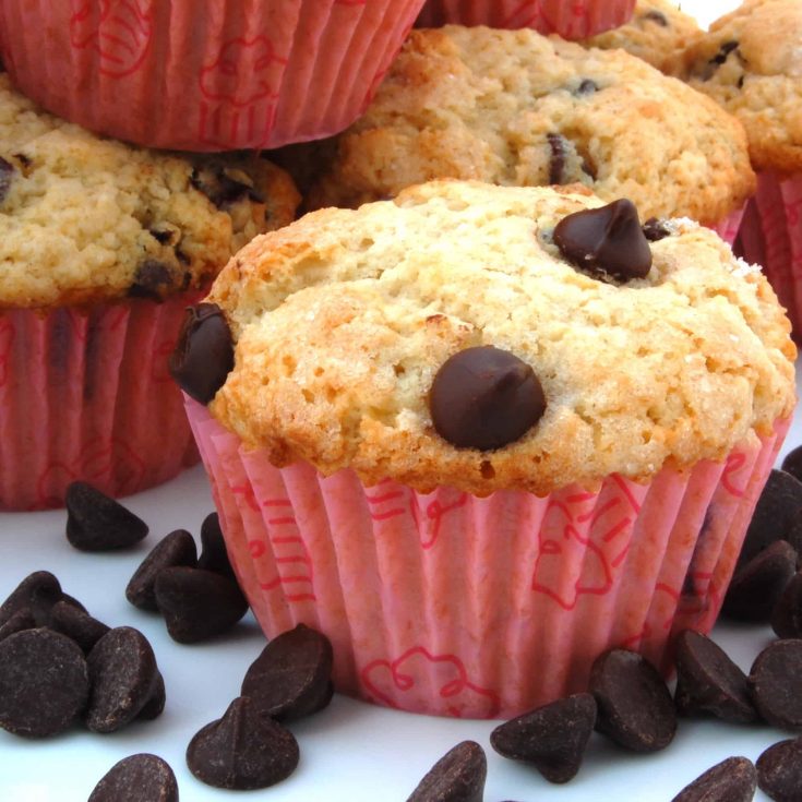 Chocolate Chip Muffins