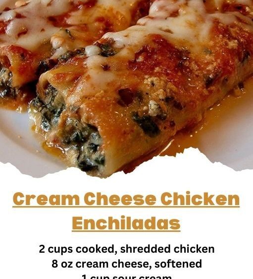 Cream Cheese Chicken Enchiladas