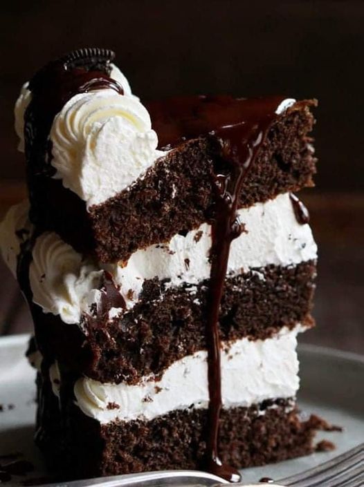 MISSISSIPPI MUDSLIDE CAKE