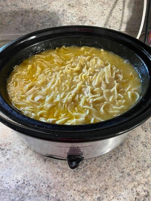 CROCK POT CHICKEN NOODLE SOUP – Page 2 – Biggest Idea