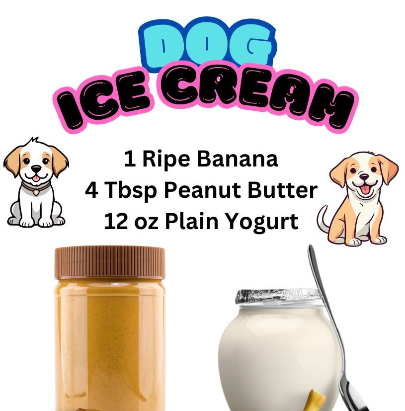 Homemade Dog Ice Cream