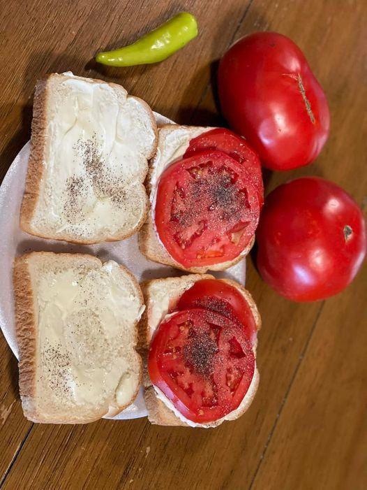 Tomato Sandwiches