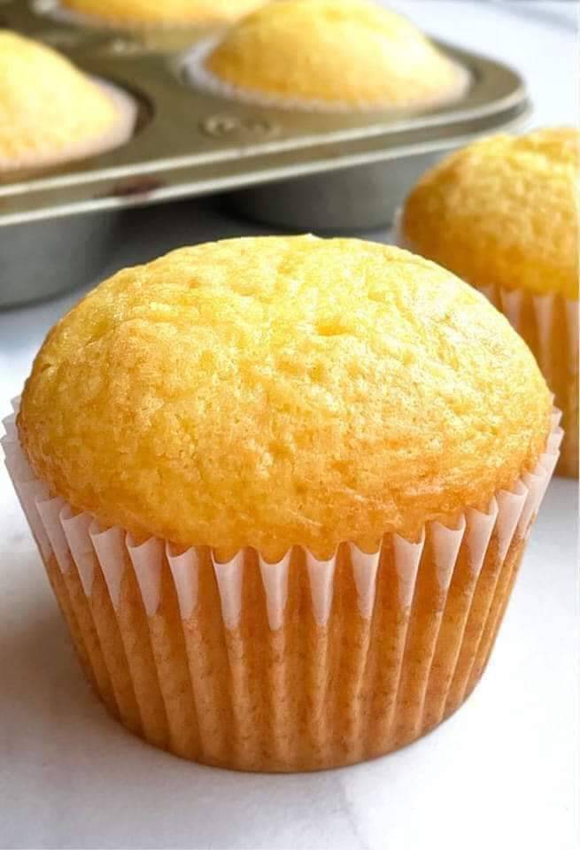 Vanilla Cupcakes