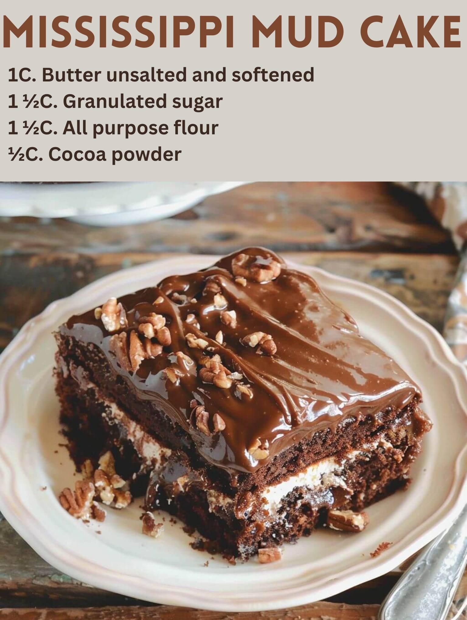 Mississippi Mud Cake